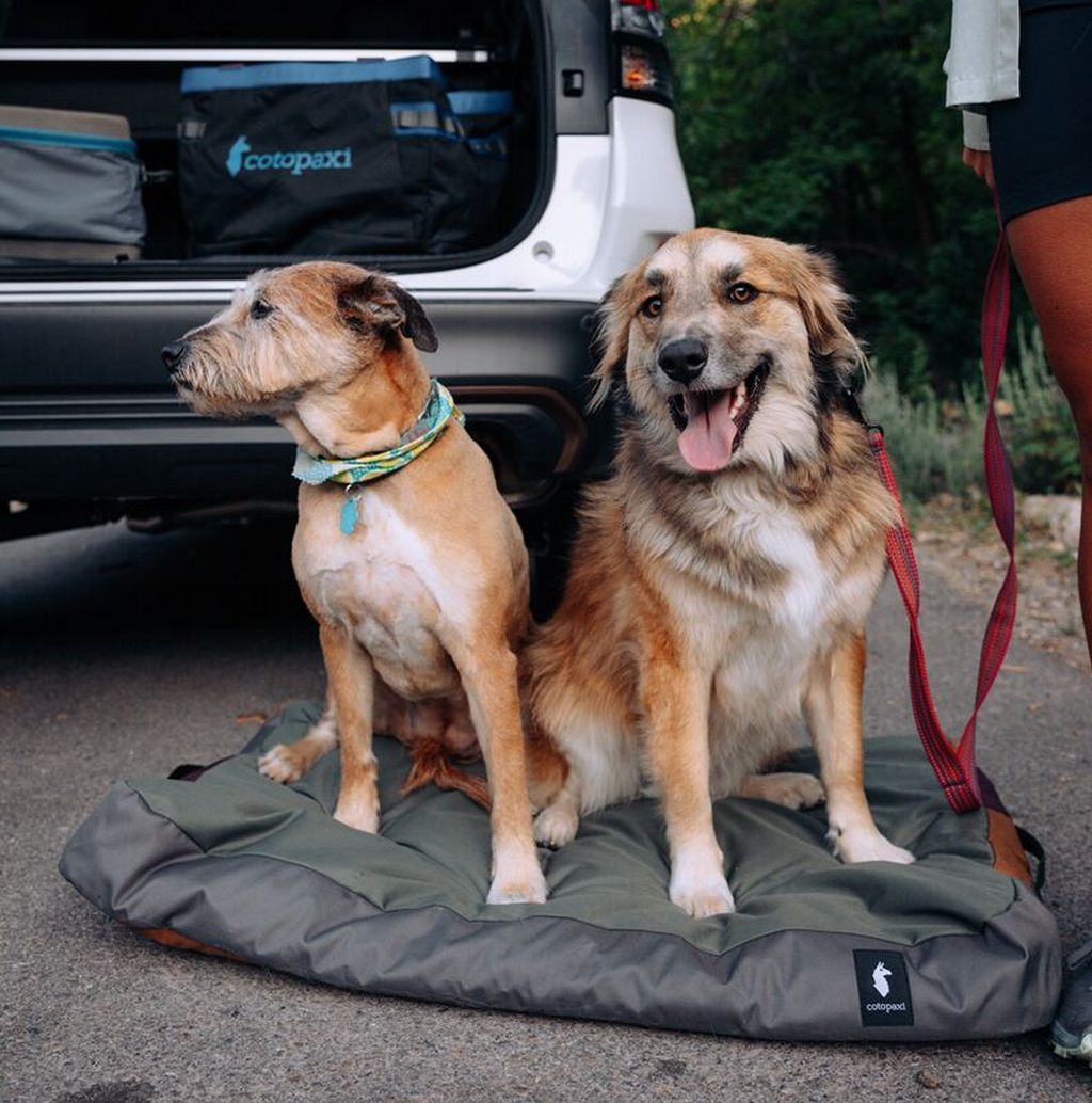 Del Dia Dog Bed - Versatile Outdoor Use