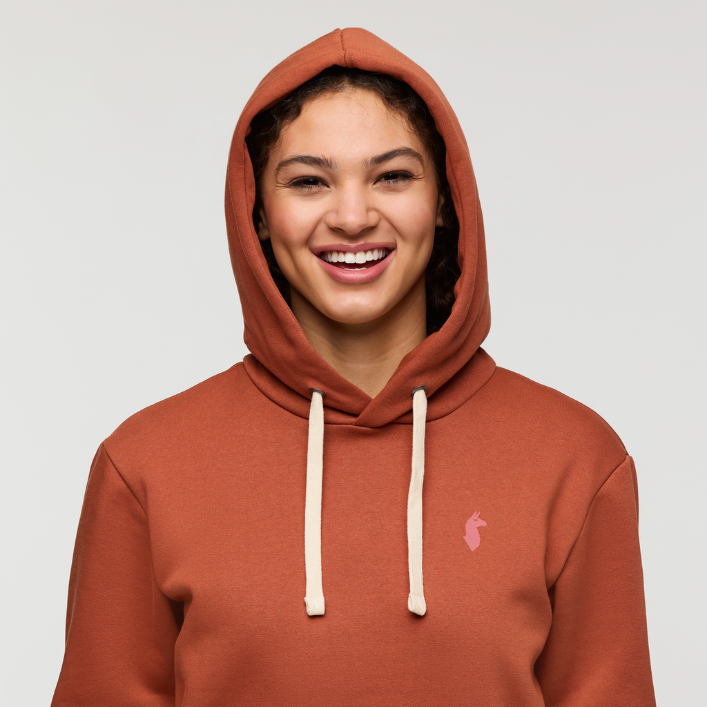 Up and Up Pullover Hoodie - Women s - Soft Adventure Layer