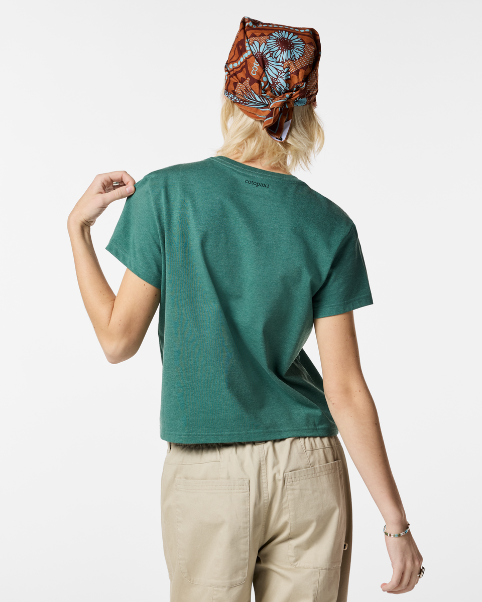 Llama Icon T-Shirt - Women s - Comfortable Everyday Wear