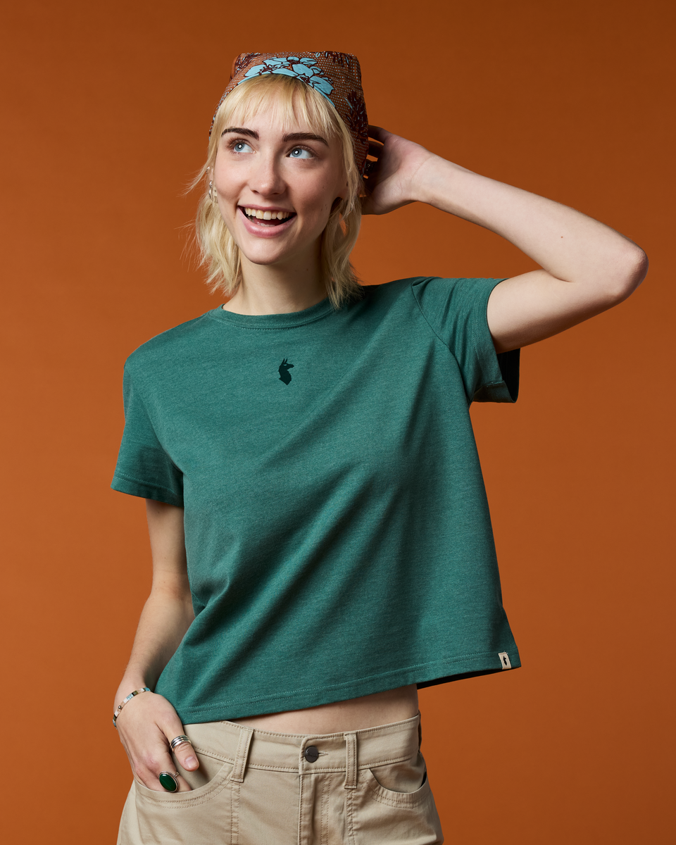 Llama Icon T-Shirt - Women s - Comfortable Everyday Wear